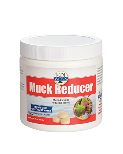 Product Cover KoiWorx Muck Reducer, 145 Tablets, Dry Beneficial Bacteria, Reduces Muck, Sludge, Organic Build up, 100% Natural Bacteria, Safe for koi