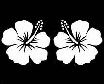 Product Cover Chase Grace Studio Hibiscus Flower Hawaiian Hawaii Vinyl Decal Sticker|WHITE|Cars Trucks Vans SUV Laptops Wall Art|5.5