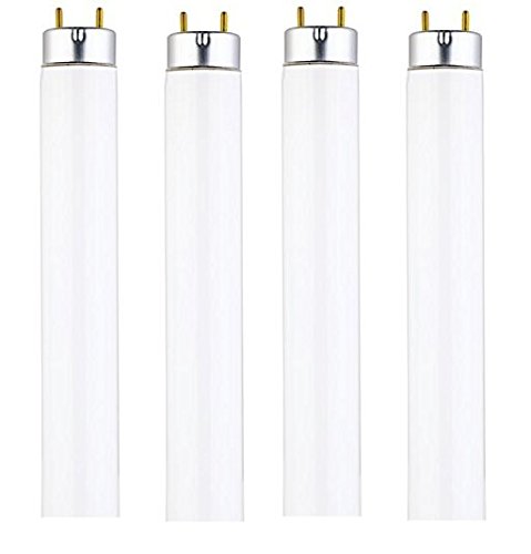 Product Cover 15 Watt T8 Fluorescent Tube Light Bulb, 4100K Cool White, Medium Bi-Pin Base (4-Pack)