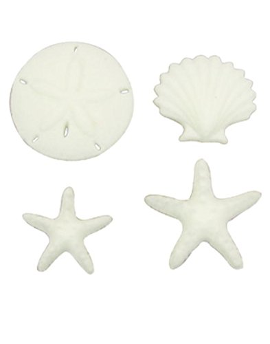 Product Cover Beachcomber Asst. Sea Shell Sand Dollar Star Fish Decorations Sugar Topper Celebrate Cup Cake Cake Cookie toppers 12 count