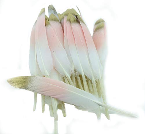 Product Cover Colorful Gold Dipped Feather in Bulk for Craft Party Decoration Goose Feathers 20pcs/Pack/ (Pink&Gold)