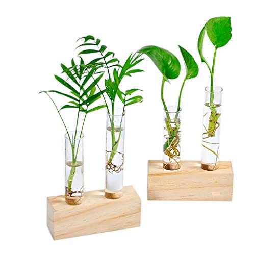 Product Cover Ivolador Crystal Glass Double Test Tube Vase in Wooden Stand Flower Pots for Hydroponic Plants Office Home Decoration