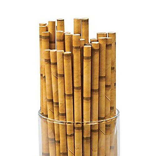 Product Cover Kicko Bamboo Paper Straws - Pack of 24-7.75 Inch Biodegradable Drinking Straws - Eco-Friendly - for Party Favors