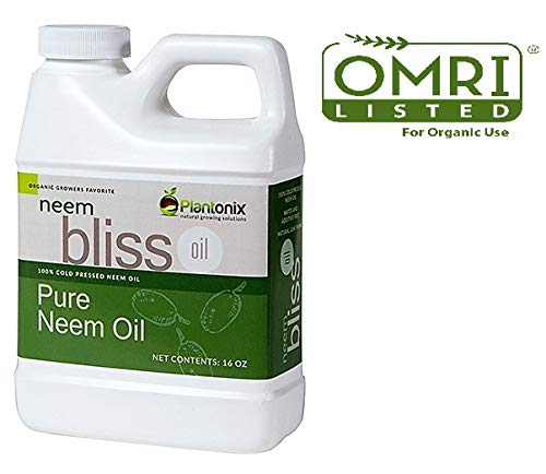 Product Cover Organic Neem Bliss 100% Pure Cold Pressed Neem Seed Oil - (16 oz) High Azadirachtin Content - OMRI Listed for Organic Use