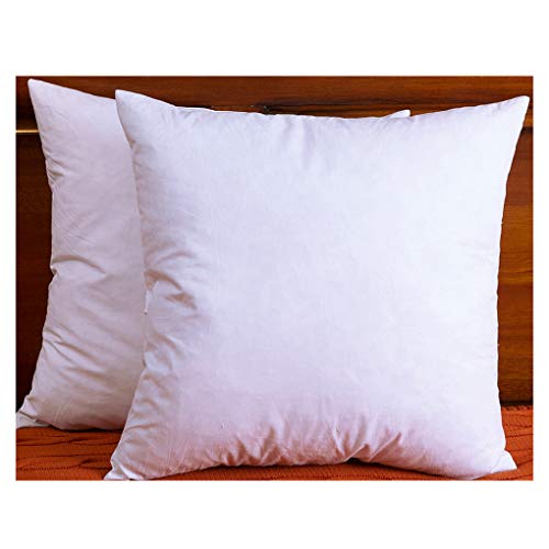Product Cover DOWNIGHT Two Pillow Inserts, 20 X 20 Inch, Down and Feather Throw Pillow Insert, The Fabric is Cotton, Decorative Throw Pillows Insert. These Products are Only Sold and Fulfilled by Amazon.