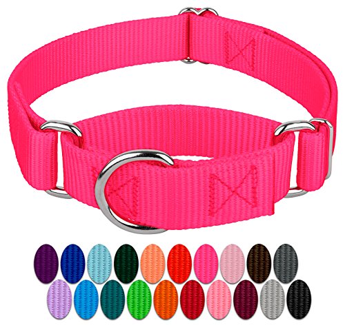 Product Cover Country Brook Design - 1 Inch Martingale Heavyduty Nylon Dog Collar - Hot Pink - Large