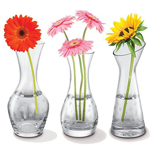 Product Cover Kovot Set of 3 Glass Bud Vases - 3 Distinct Star-Etched Vases