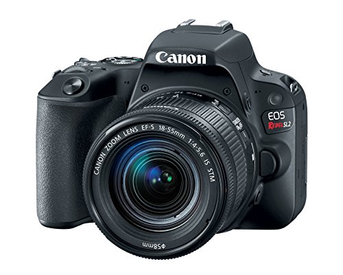 Product Cover Canon EOS Rebel SL2 DSLR Camera with EF-S 18-55mm STM Lens - WiFi Enabled