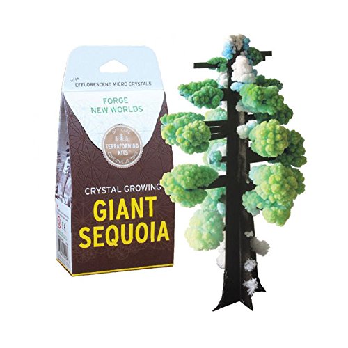 Product Cover Copernicus Toys Crystal Growing: Giant Sequoia