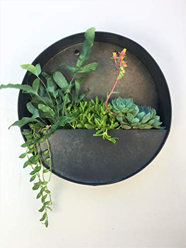 Product Cover Round Hanging Wall Vase Planter for Succulents or Herbs - Beautiful Wall Decor for Air Plants, Faux Plants, Cacti and More, Dark Zinc Color - in Gift Box