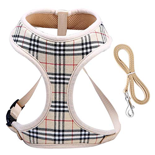 Product Cover Dog Harnesses for Small Dogs,Super Soft & Comfortable Dog Harness,Easy To Adjust Harness for Small Dogs,Padded Mesh Material for Breathability and Secure Fit,Lightweight Shoulder And Chest Vest Ideal