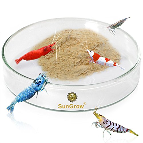 Product Cover SunGrow Tough Borosilicate Glass Shrimp Feed Dish, 2.5 Inches Wide and 0.5 Inch Deep, Avert Food Spilling, Heavy-Duty, Transparent Basin for Shrimp Food or Fish's Tubifex Worms