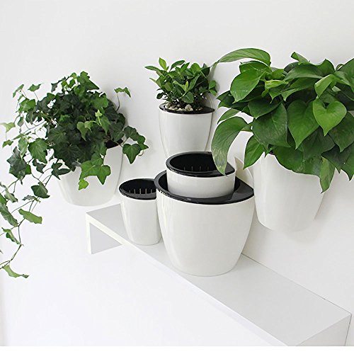 Product Cover Sungmor Gardening 3 Pieces Creative Plastic Hanging Planter, Self Watering Flowerpot, Wall Mounted Plants Holder w/Long Time Water Storage Function (Large (19.5cm18.5cm))