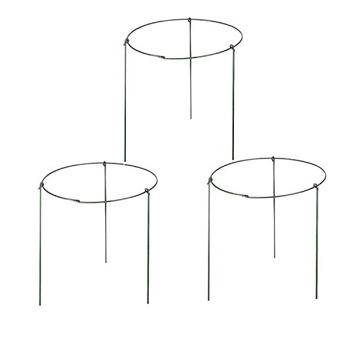 Product Cover rescozy (Pack of 3) Garden Plant Support Rings, 5.5