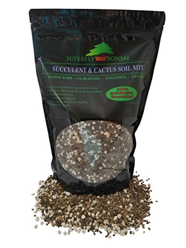 Product Cover Succulent & Cactus Soil Mix - Premium Pre-Mixed Fast Draining Blend (2.5 Dry Quarts)