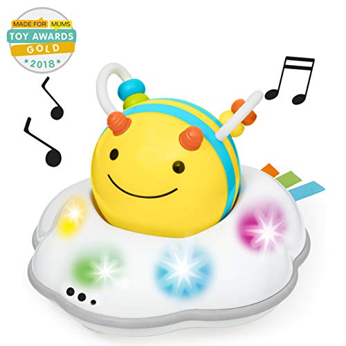 Product Cover Skip Hop Explore & More Follow-me Bee 3-Stage Developmental Learning Crawl Toy