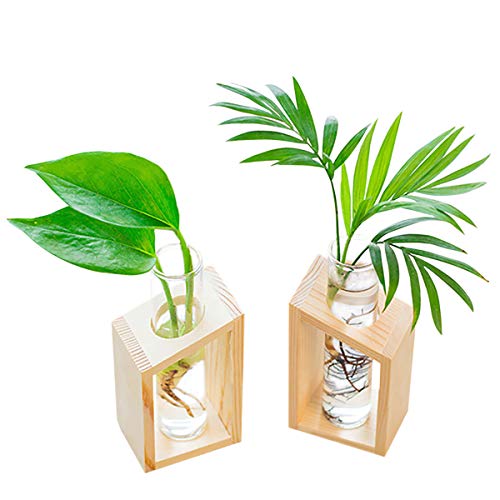Product Cover Ivolador Crystal Glass Test Tube Vase in Wooden Stand Flower Pots for Hydroponic Plants Home Garden Decoration