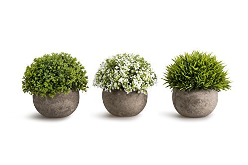 Product Cover OPPS Artificial Plastic Mini Plants Unique Fresh Green Grass Flower in Grey Pot for Home, Set of 3