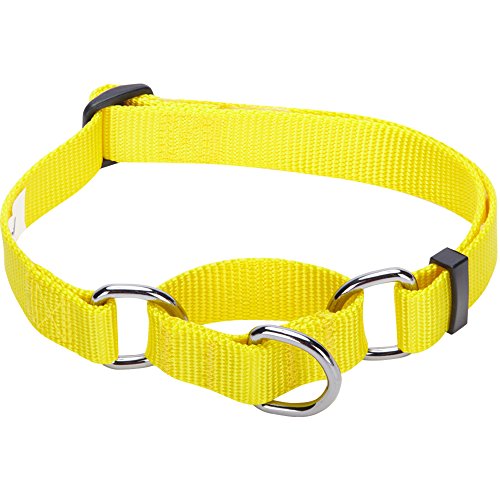 Product Cover Blueberry Pet Essentials 19 Colors Safety Training Martingale Dog Collar, Blazing Yellow, Medium, Heavy Duty Nylon Adjustable Collars for Dogs
