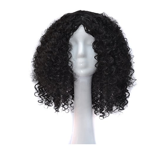 Product Cover InKach Curly Short Wigs, Women Girls Hair Wig Full Heat Resistant Charming Cosplay Costume Synthetic Wigs (Black)