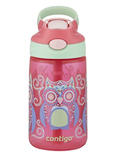 Product Cover Contigo AUTOSPOUT Straw Gizmo Flip Kids Water Bottle, 14 oz, Sprinkles with Owl Parliament (2004943)