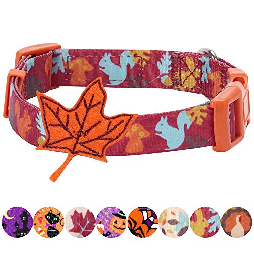 Product Cover Blueberry Pet 8 Patterns Thanksgiving Fall Fun Enchanting Squirrel Designer Dog Collar with Maple, Medium, Neck 14. 5