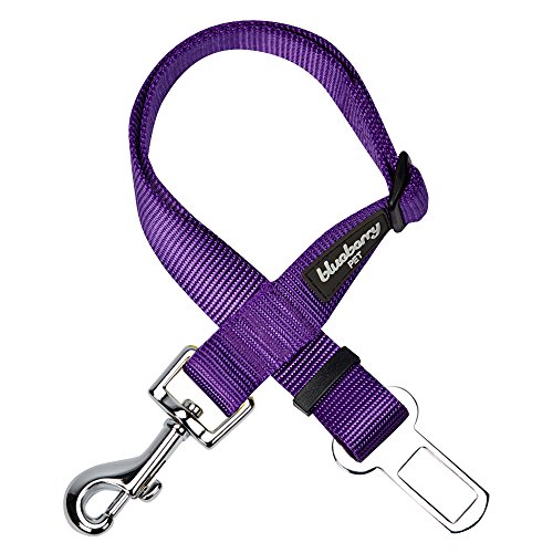 Product Cover Blueberry Pet 19 Colors Classic Dog Seat Belt Tether for Dogs Cats, Dark Orchid, Durable Safety Car Vehicle Seatbelts Leads Use with Harness