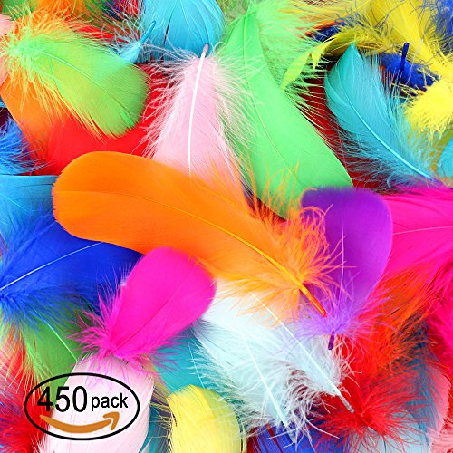 Product Cover 450 Pcs Feathers Colorful Feathers Crafts for DIY Craft Wedding Home Party Decorations, 10 Colors