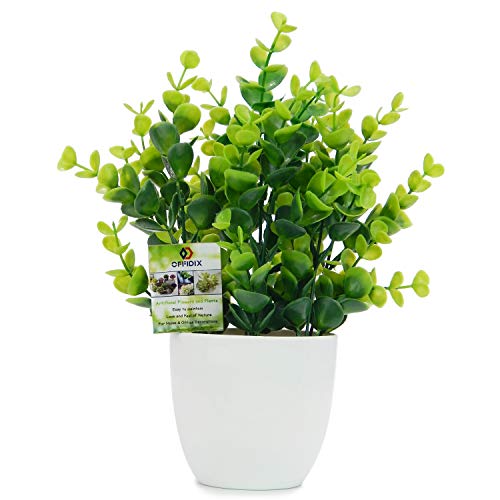 Product Cover OFFIDIX Mini Artificial Eucalyptus Plants with Vase for Office Desk,Fake Plant with Plastic Pots for Home,Shower Room Decoration (Green)