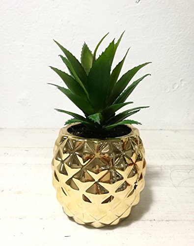 Product Cover Porcelain Potted Succulent 7.8