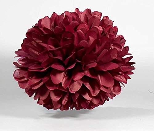 Product Cover LG-Free 10pcs 8inch 10inch Paper Pom Poms Decorative Paper Flower Hanging Rose Flower Balls DIY Paper Handmade Craft for Wedding,Baby Shower,Birthday,Party Decorations,Home Decor (10pcs, Burgundy)