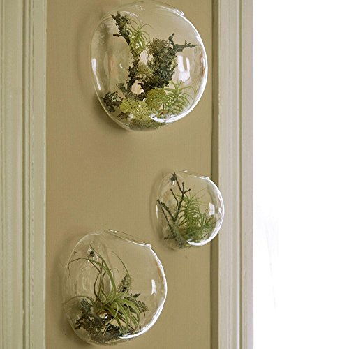 Product Cover Set of 3 Wall Bubble Terrariums Indoor Plants Holders Wall Glass Vase for Flowers Wall Mounted Planters for Succulents Air Plants Wall Decoration for Sunroom Living Room