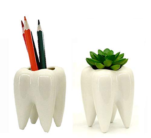 Product Cover Gift Prod 2 Pcs Teeth Pots White Ceramic Succulent Planter Pots / Mini Flower Plant Containers Cute Animal Shaped Cartoon Planter Pots Plant Window Boxes (Style 11)