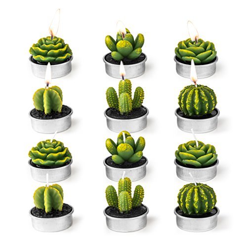 Product Cover Quality Cactus Tealight Candles Tea Light Candle Holder 12 Pcs,COCOMOON Home Decor