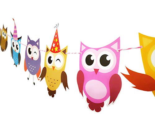 Product Cover E&L 2 Set of Owl Pal Party Themed Decorations Kit, Birthday Party Supplies, Birthday Party Banner, Set of 10 Pieces Different Colorful Owl Flags With Different Pattern