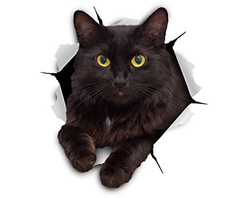 Product Cover Winston & Bear 3D Cat Stickers - 2 Pack - Cheeky Black Cat Decals for Wall - Cat Lover Gifts - Stickers for Bedroom - Fridge - Toilet - Car - Retail Packaged