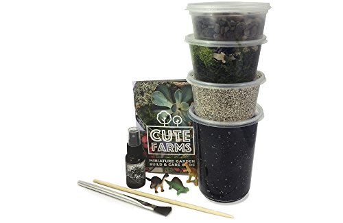 Product Cover Cute Farms Terrarium Starter Kit | Moss, Vermiculite, Soil, Pebbles, Plant Food, Finishing Tools (Large Kit)