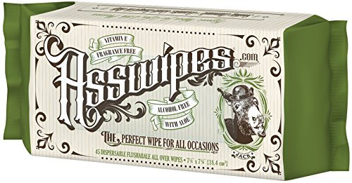 Product Cover ASSWIPES Flushable Cleaning Hygiene Wipes with Aloe and Vitamin E! Made for Bathroom, Body, Baby, Feet and Face! Alcohol, Paraben, and Fragrance Free for Sensitive Skin! (1 Pack)