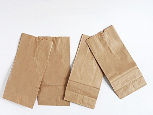Product Cover BonBon Paper Kraft Brown Paper Treat Lunch Bags (Small 100 pc)
