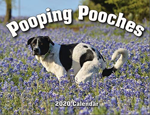 Product Cover 2020 Pooping Pooches White Elephant Gag Gift Calendar