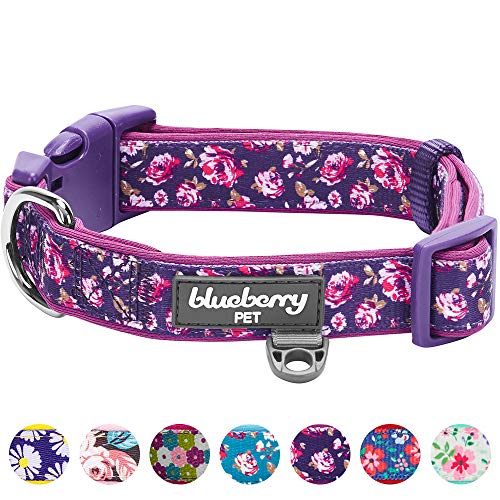 Product Cover Blueberry Pet 7 Patterns Soft & Comfy Rose Print Plum Purple Padded Adjustable Dog Collar, Large, Neck 18