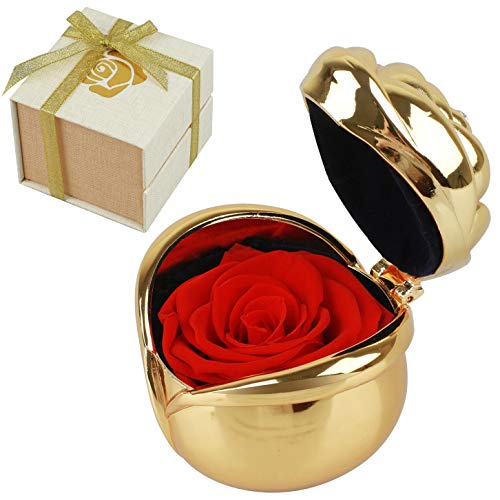 Product Cover Morther's Day Gifts, Preserved Roses, Gift for Mom Mum, Red Rose, Handmade Preserved Roses Present, Upscale Immortal Flowers Best Gift for Female Birthday, Anniversary, Christmas