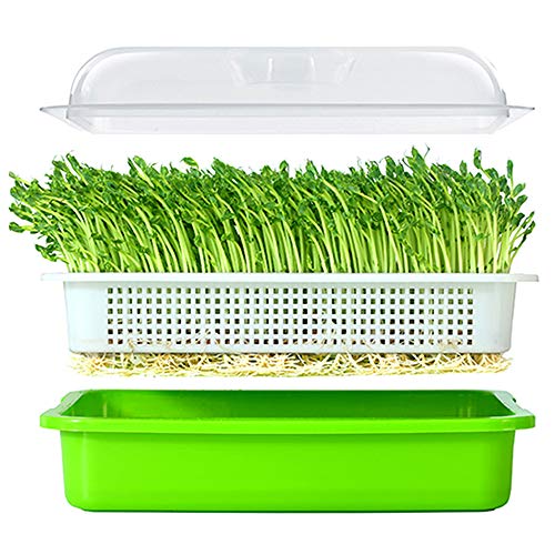 Product Cover Seed Sprouter Tray BPA Free PP Soil-Free Big Capacity Healthy Wheatgrass Grower with Lid Sprouting Kit 13.4x9.84x4.72 inches(LxWxH)