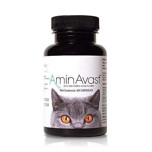 Product Cover AminAvast Kidney Support Supplement for Cats and Dogs, 300mg - Promotes and Supports Natural Kidney Function - Supports Health and Vitality - Easily Administered - 60 Sprinkle Capsules