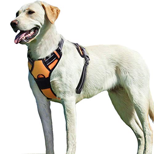 Product Cover Eagloo Dog Harness No Pull, Walking Pet Harness with 2 Metal Rings and Handle Adjustable Reflective Breathable Oxford Soft Vest Easy Control Front Clip Harness Outdoor for Large Dogs Orange