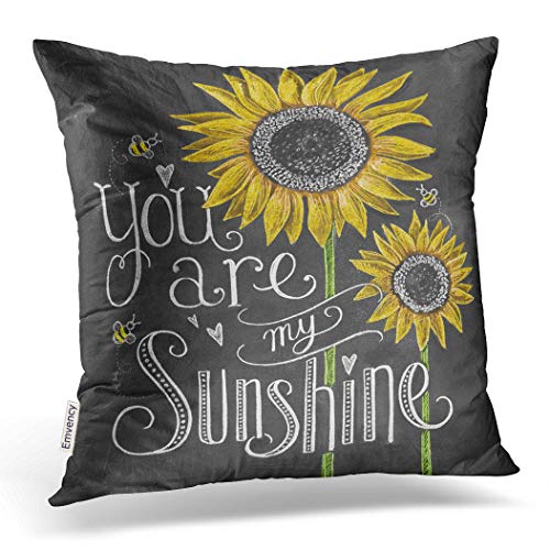 Product Cover Emvency Decorative Throw Pillow Cover Square Size 18x18 Inches You are My Sunshine Sunflowers Chalk Painting Decor Pillowcase with Hidden Zipper Cushion Covers