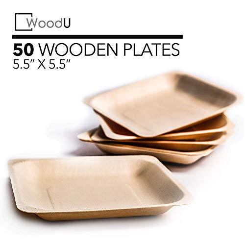 Product Cover Disposable Plates All Natural Biodegradable Birch Wood for Parties, Events (5.5