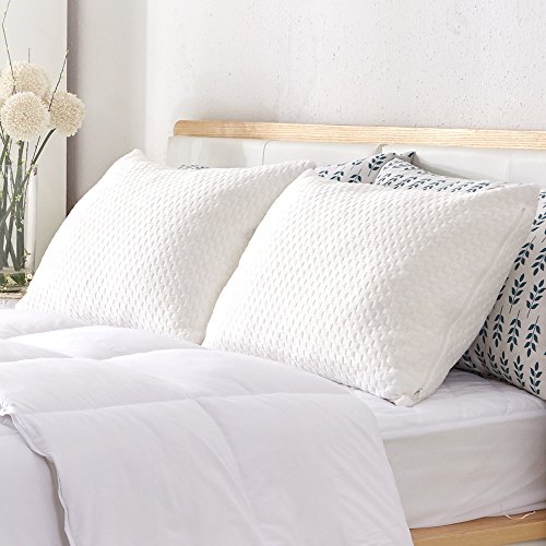 Product Cover Sable Pillows for Sleeping - 2 Pack Adjustable Shredded Memory Foam Hypoallergenic Pillows - Washable and Detachable Bed Pillows for Side Sleeper - Queen Size(20 X 30Inches)