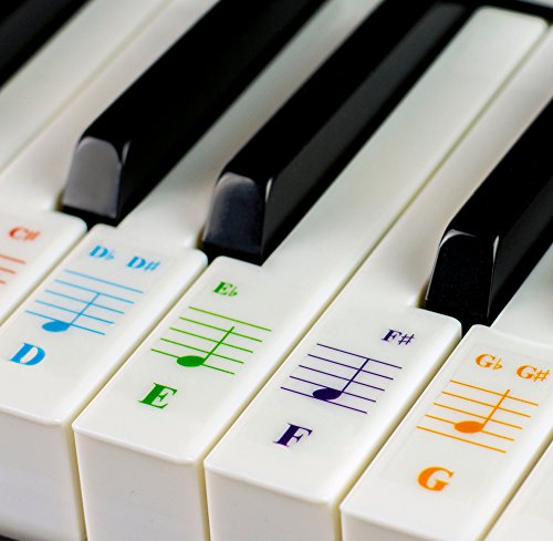 Product Cover QMG Color Piano Stickers for 49 / 61/ 76 / 88 Key Keyboards - Transparent and Removable: Made in USA