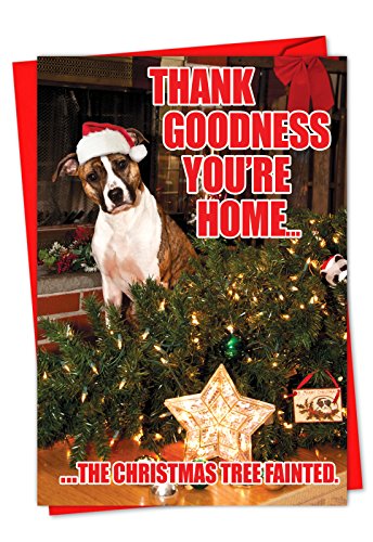Product Cover NobleWorks, Tree Fainted Dog - 36 Bulk Boxed Christmas Cards with Envelopes - Funny Christmas Tree and Pet Dog Greeting Card Set C1144XSG-B36